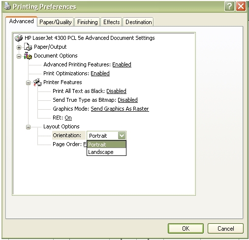 Screen shot of the application page 